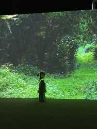台版teamlab🎨 小孩愛瘋的沈浸式體驗 屏菸1936文化基地