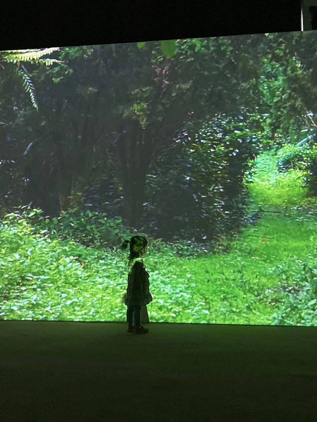 台版teamlab🎨 小孩愛瘋的沈浸式體驗 屏菸1936文化基地