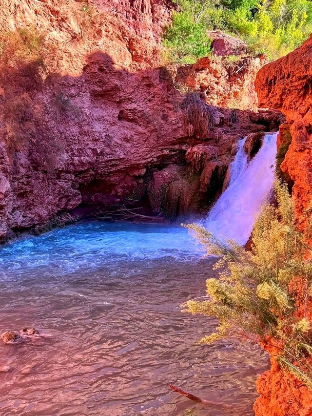 💦 Havasu Falls – Arizona’s Hidden Paradise