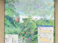 🏞️ 太古後花園： 柏架山道自然徑的綠色旅程