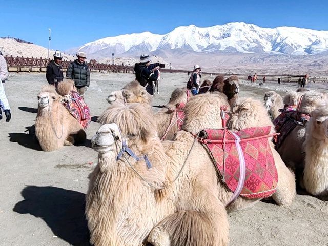 The Father of Icebergs: The Pamir Secret Realm