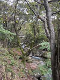 아름다운 계곡길을 지나 🏞️