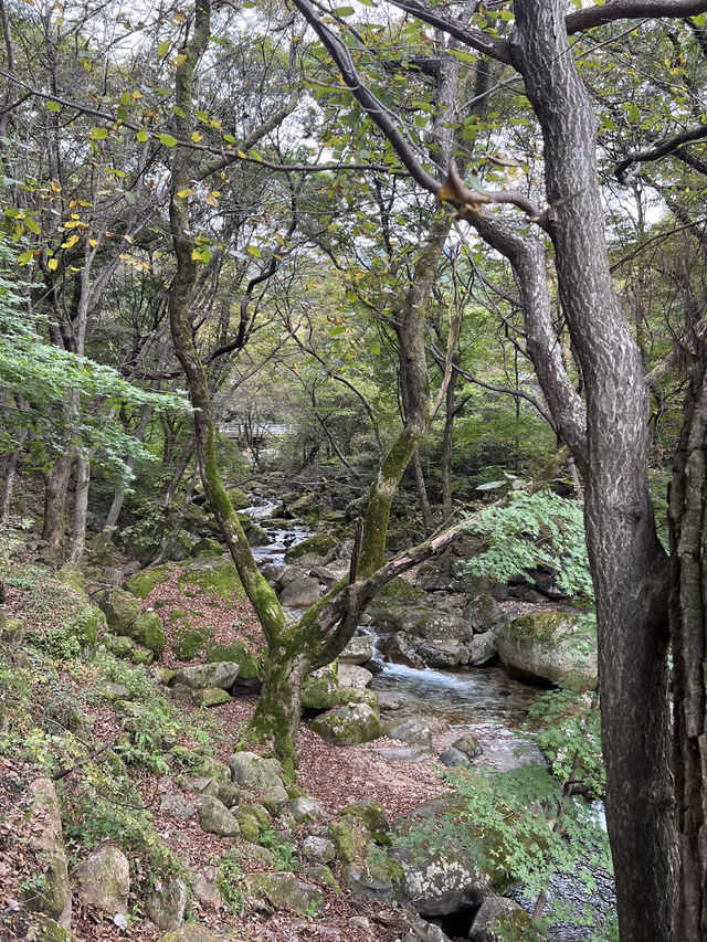 아름다운 계곡길을 지나 🏞️