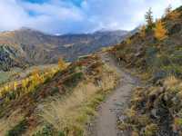 Alpine Mountains