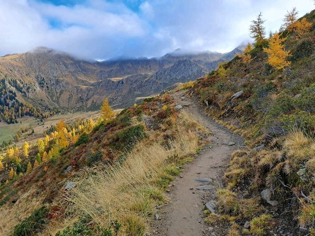 Alpine Mountains