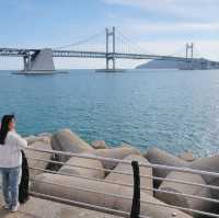 釜山🇰🇷廣安大橋🌁海濱咖啡街～花海片片