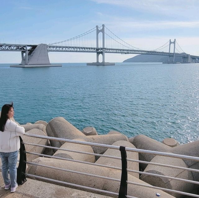 釜山🇰🇷廣安大橋🌁海濱咖啡街～花海片片