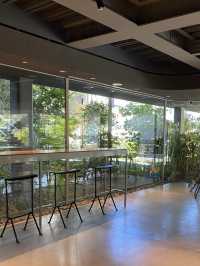 🌿 Calm & Flavorful: Morning at cafe518, Kamakura