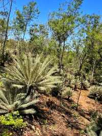 🌿💦 Litchfield National Park – Australia’s Tropical Wonderland