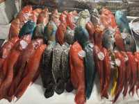 Bali 8 Days Travel Guide 