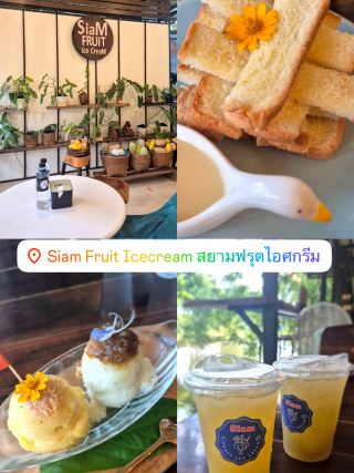 Siam Fruit Ice Cream อ.พะโต๊ะ จ.ชุมพร