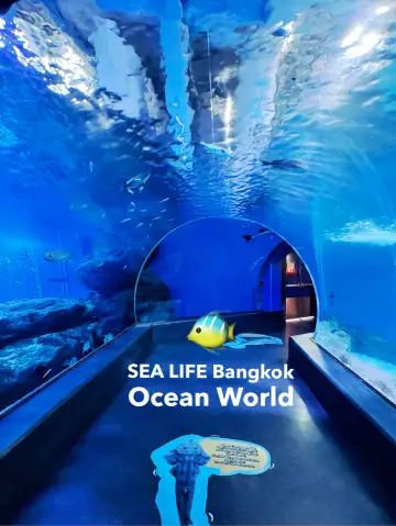 ดำดิ่งสู่โลกใต้น้ำกลางกรุง ที่ SEA LIFE Bangkok