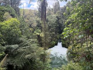 Where Water Rushes and Nature Comes Alive