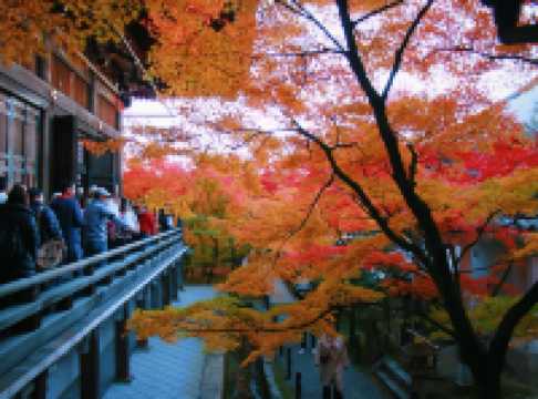 Autumn in Kansai