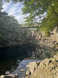 Jeju Nature Days🌼