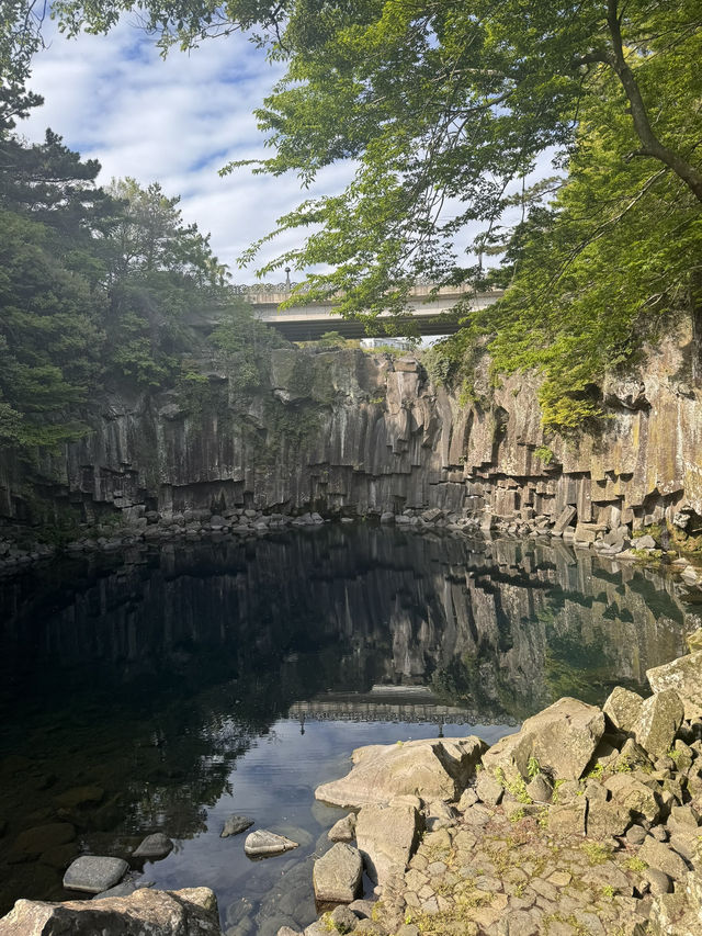 Jeju Nature Days🌼 Jeju Nature Days🌼