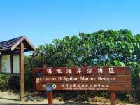 Hong Kong's Secret Blue Heart