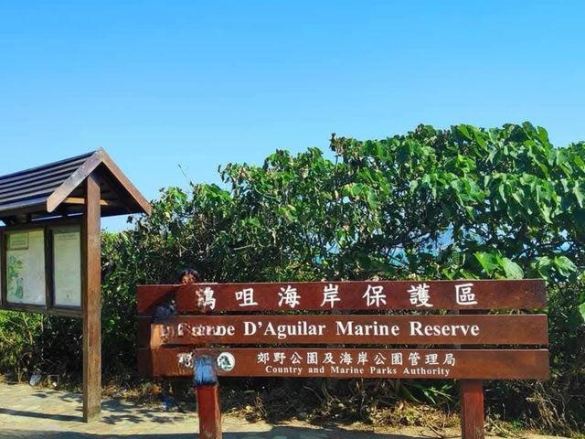 Hong Kong's Secret Blue Heart