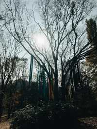 Fall for Korean Folk Village 🍂🎭