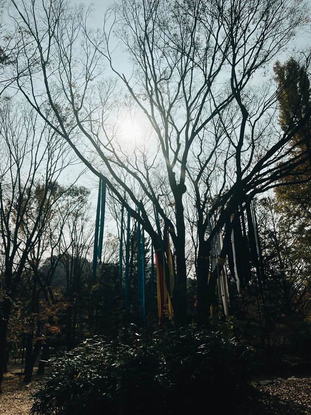 Fall for Korean Folk Village 🍂🎭