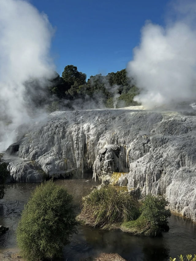 🌋紐西蘭11月秘境•Te Puia地熱谷・睇波胡圖間歇噴泉噴發震撼景觀！