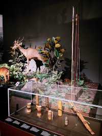 A Window into Highland Life