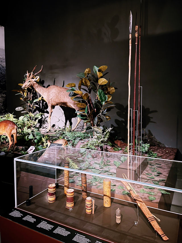 A Window into Highland Life