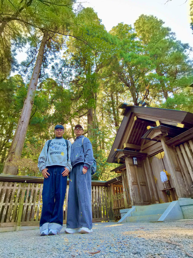 天岩戶神社 天岩戶神社