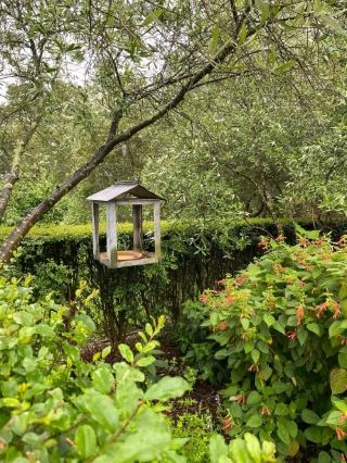 訪れる価値のある素敵な場所、美しいカフェ、森林散策、そしてミニチュア鉄道もあり、間違いなくまた訪れるでしょう。