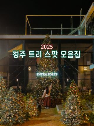 2025 Cheongju Christmas Tree Spot Collection🎄❤️