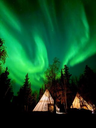 With an average 95% chance of seeing the Northern Lights, why you should go to Canada to see them?