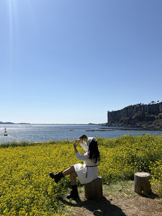 제주는 지금 유채꽃 한가득🌼💛