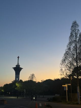 櫻花寧靜之地
