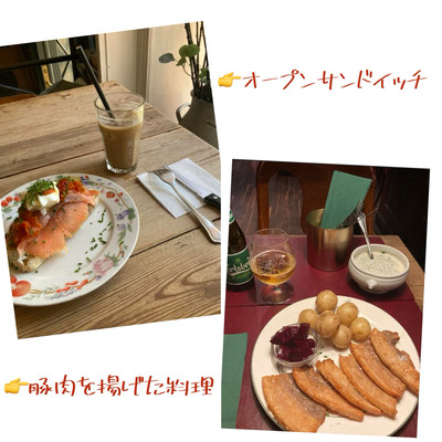 お値下げ！【  コペンハーゲン】アライグマ　岩d Denmark🇩🇰】コペンハーゲン付近おすすめスポットランキング | Trip
