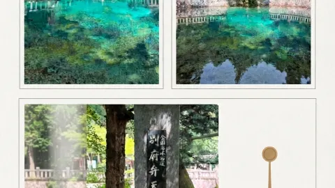  知られざる秘境を大公開：山口県美祢市「別府弁天池」。 — traveler post in 美祢