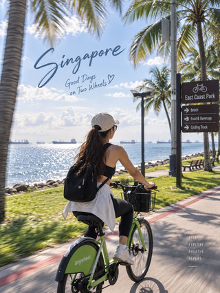 3 Days 2 Nights Solo Trip in Singapore: "Me, Myself & The Lion City"