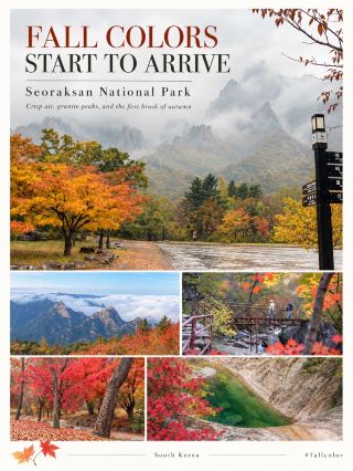 🍁 Seoraksan: When Fall Colors Start to Arrive