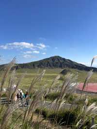 【熊本県・阿蘇】 火山が生み出した、阿蘇を代表する大草原