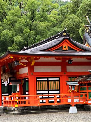 新宮 熊野速玉大社｜朱紅社殿與樹齡千年的神木「梛」🌳
