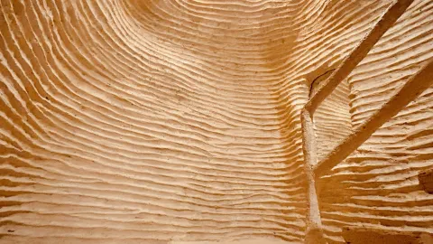 Уникальный интерьер пекарни — traveler post in Батам