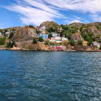 downtown st. johns