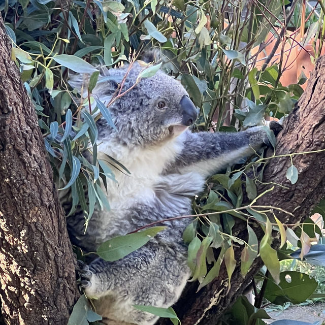 The Most Gorgeous Zoo I’ve Ever Visited