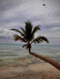 Saona Island