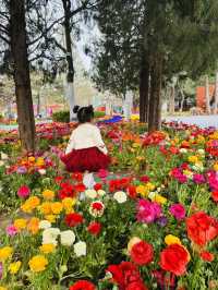 A serene oasis in the heart of Beijing 🌸