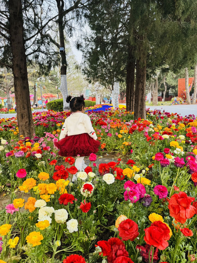 A serene oasis in the heart of Beijing 🌸