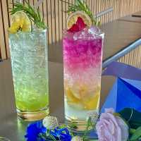 🇰🇷 16階のルーフトップから江南の美しい景色を一望できるカフェレストラン
