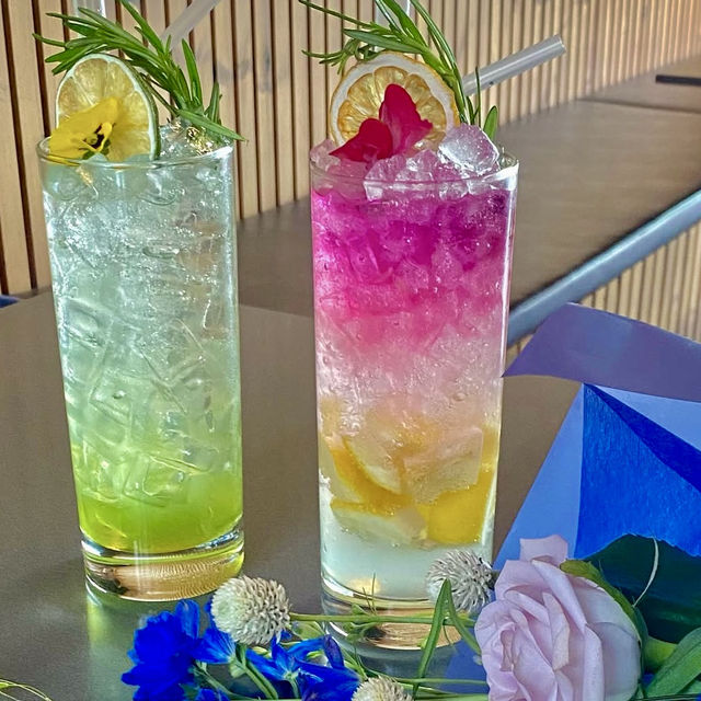🇰🇷 16階のルーフトップから江南の美しい景色を一望できるカフェレストラン