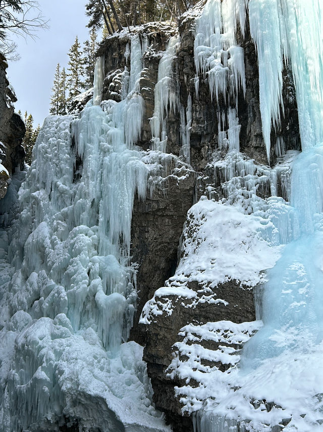 🇨🇦バンフの人気トレイル🏞️【ジョンストンキャニオン】で滝と渓谷を満喫