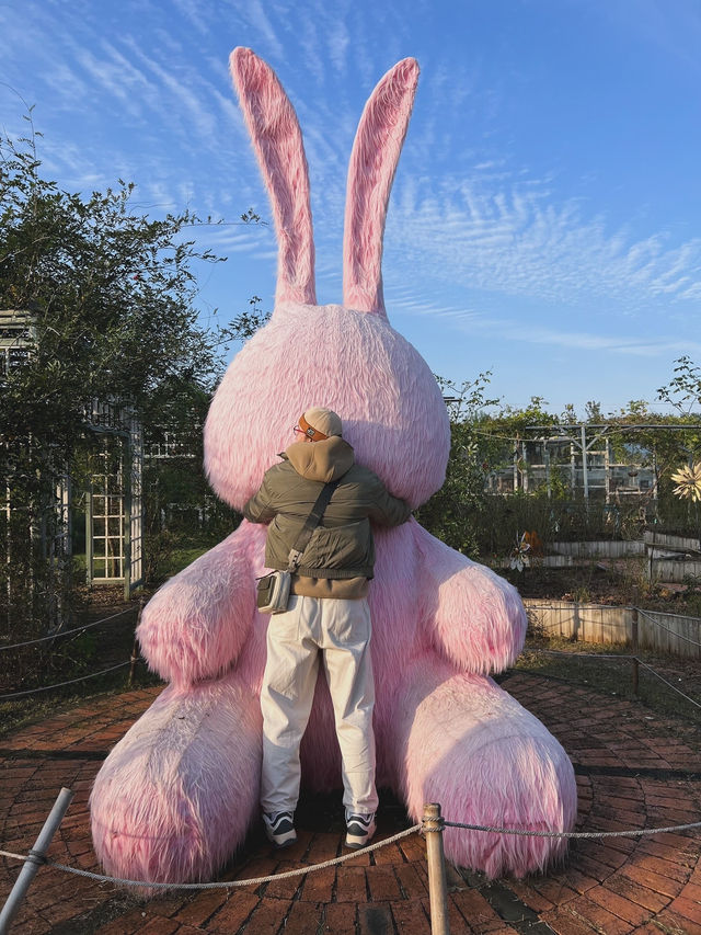Город Фуян, столица Анхой, Экологический парк.