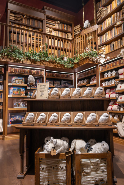 Hogwarts Bridge Portraits, Diagon Alley Wand Shop, Castle Details